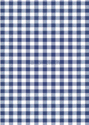 Country Club Skort - Gingham Navy/White with Ric Rac