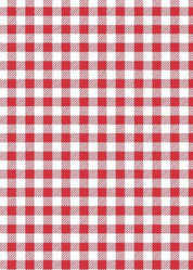 Lucille Dress 3/4 - Gingham Check Red/White