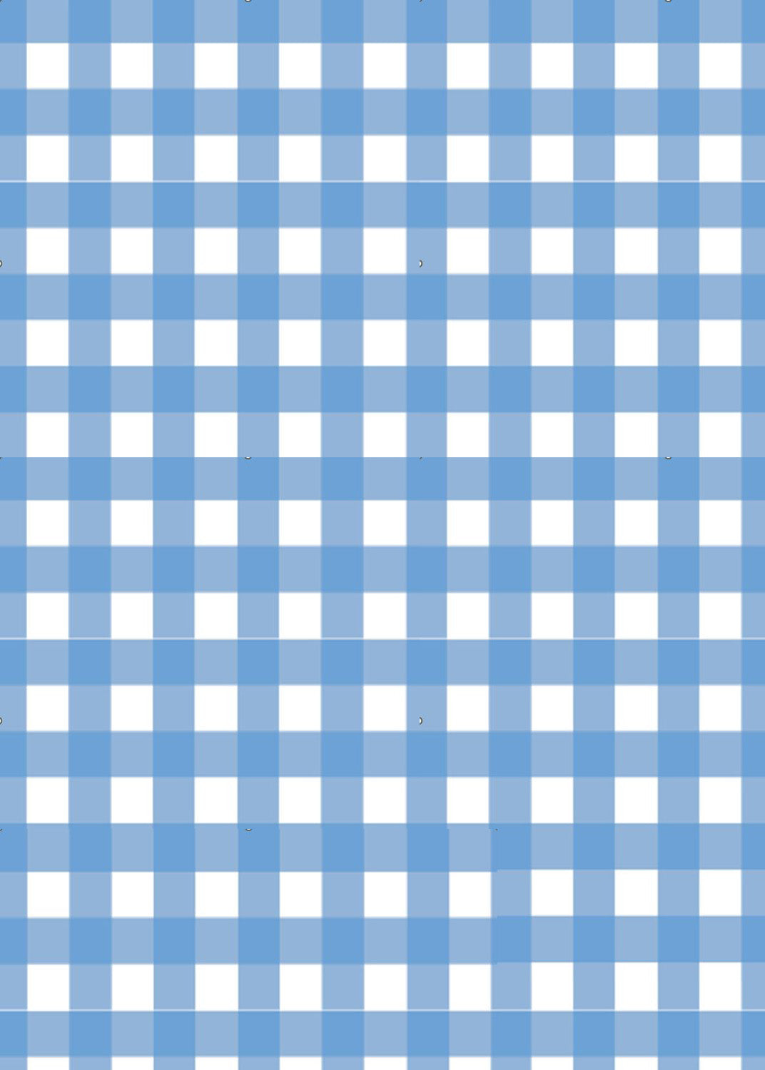 Bridget Dress - Regatta/White Check