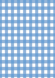 Bridget Dress - Regatta/White Check